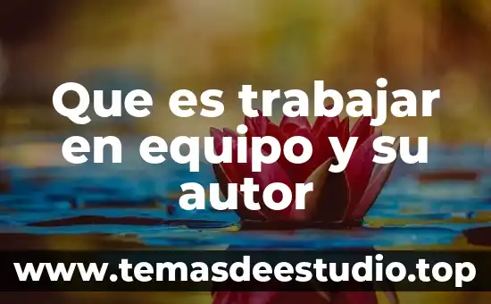 Que es homonimo con autor 6 Que es trabajar en equipo y su autor