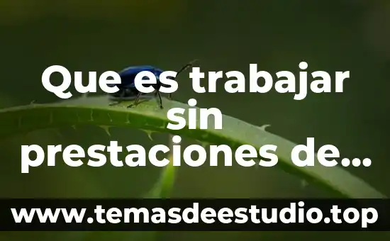 Redistribuci贸n espacial que es 3 Que es trabajar sin prestaciones de ley