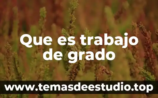 Que es trabajo de grado