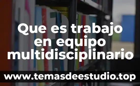 Qué es la sociedad de trabajo 6 Que es trabajo en equipo multidisciplinario