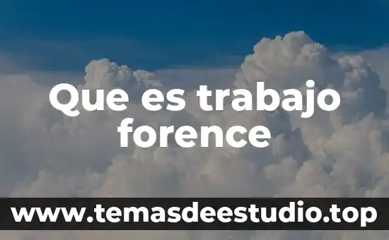 Que es trabajo de estiba 5 Que es trabajo forence
