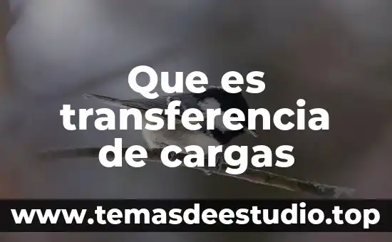 Que es una cargas puntuales en vigas 5 Que es transferencia de cargas