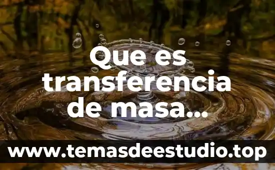 Qué es un irq y qué función realiza 3 Que es transferencia de masa ejemplos