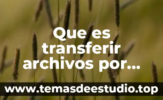 Archivos uuuu.uuuu en memorias que es 6 Que es transferir archivos por midi