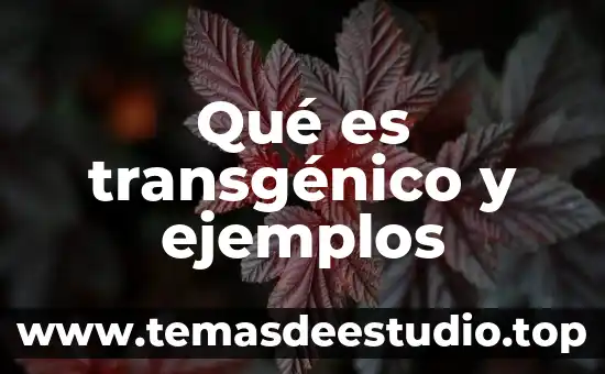 Que es el titulo de tesis ejemplos 8 Qué es transgénico y ejemplos