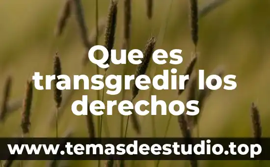 Que es significa ed en los derechos vehiculares 5 Que es transgredir los derechos