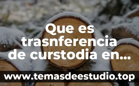 Qué es tquifrenia diccionario griego 6 Que es trasnferencia de curstodia en procesos quimicos