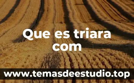 Stp kickstarter com que es 6 Que es triara com