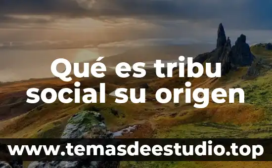 Qué es tribu social su origen