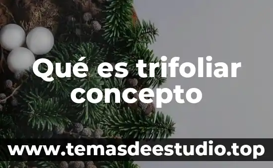 Qué es el concepto de micología 5 Qué es trifoliar concepto