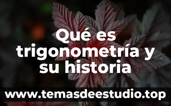 Que es oq historia 4 Qué es trigonometría y su historia