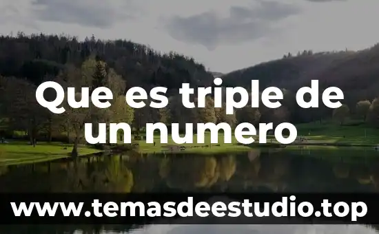 Qué es el número de la factura 4 Que es triple de un numero