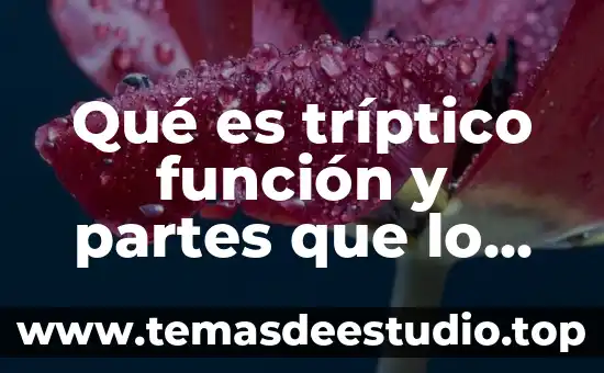 Que es un libro y sus partes para niños 5 Qué es tríptico función y partes que lo conforman