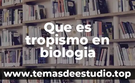 Qué es una azúcar en biología 3 Que es tropismo en biologia
