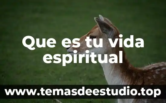 Que es la arquitectura espiritual 3 Que es tu vida espiritual