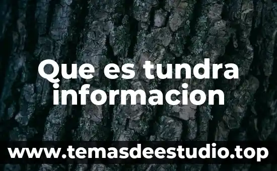 Que es el movimiento espacial 3 Que es tundra informacion