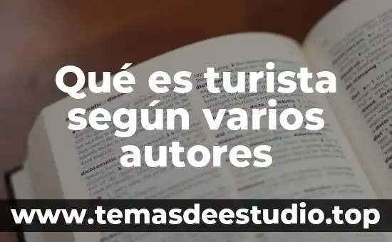 Qué es turista según varios autores