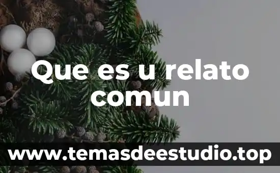 Que es un marco teórico en u proyecto 5 Que es u relato comun