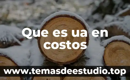 Que es la determinacion de costos 6 Que es ua en costos