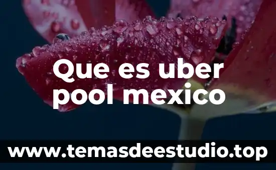 Que es uber pool mexico