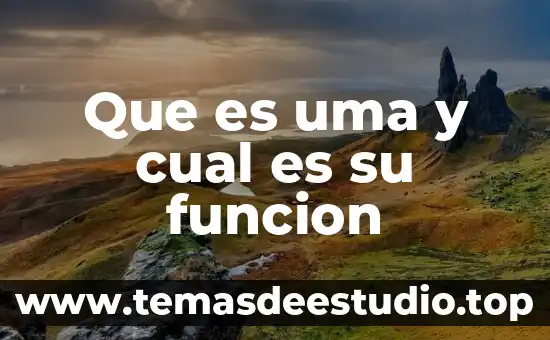 Que es la funcion del signo linguistico 7 Que es uma y cual es su funcion