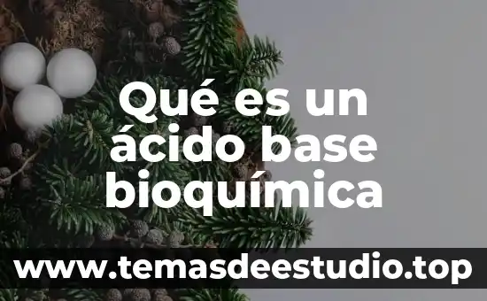 Que es un simbolo de sistema con privilegios elevados 4 Qué es un ácido base bioquímica