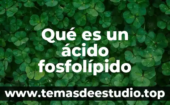 Qué es el ácido persulfúrico 8 Qué es un ácido fosfolípido