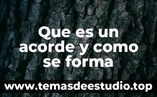 Un tiburón que es forma de martillo 8 Que es un acorde y como se forma