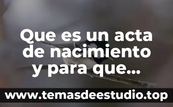 Acta de seguridad social que es 5 Que es un acta de nacimiento y para que sirve