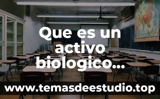 Que es propiedad planta y equipo bajo niif 3 Que es un activo biologico segun niif