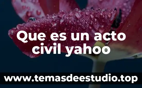 Qué es un acto jurídico público definición 6 Que es un acto civil yahoo