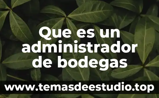 Que es un administrador de bodegas