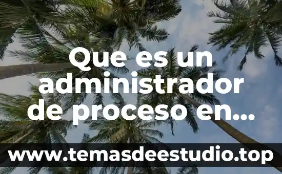 Que es una virtualizacion de sistema operativo 5 Que es un administrador de proceso en el sistema operativo