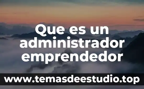 Que es un administrador emprendedor