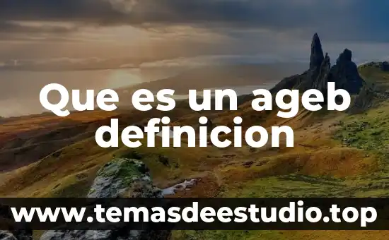 Que es un ageb definicion