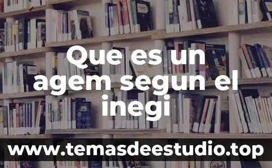 Que es la era planetaria segun edgar morin 6 Que es un agem segun el inegi