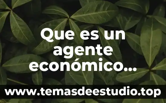 Que es un agente económico preponderante