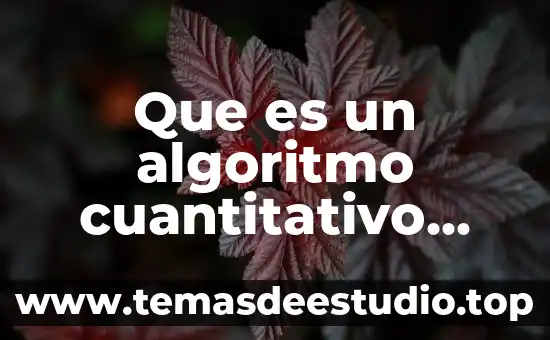Que es la arquitectura como manifestacion artistica 3 Que es un algoritmo cuantitativo ejemplos