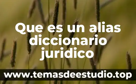 Qué es proceso en término jurídico 6 Que es un alias diccionario juridico