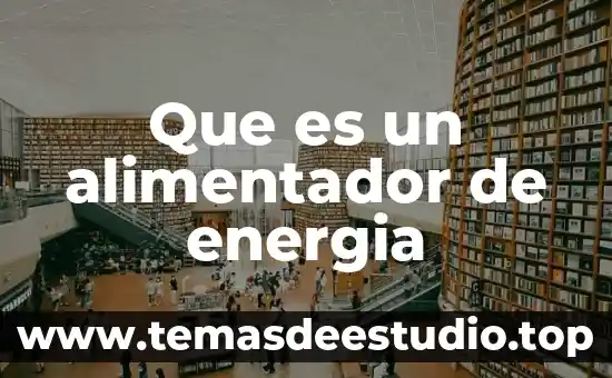 Qué es sumerios definición 8 Que es un alimentador de energia