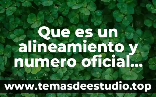 Partido oficial que es historia de México 6 Que es un alineamiento y numero oficial tepic