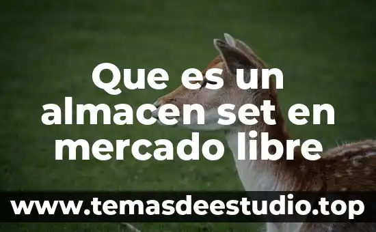 Que es un almacen set en mercado libre