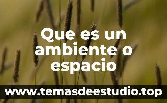 Que es homeostasis en ambiente y sustentabilidad 6 Que es un ambiente o espacio