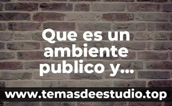 Que es un ambiente publico y privado