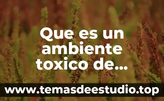 Que es ser buena o mala persona 6 Que es un ambiente toxico de trabajo