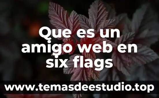 Caso que es Six Sigma 4 Que es un amigo web en six flags