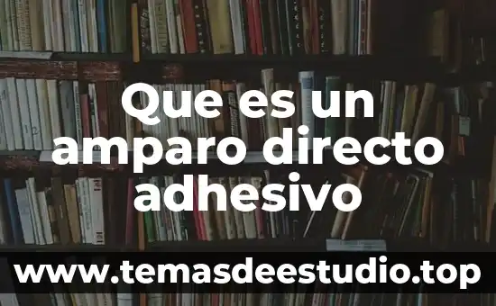 Que es plazo y termino en amparo 3 Que es un amparo directo adhesivo
