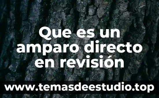 Que es un amparo directo adhesivo 5 Que es un amparo directo en revisión