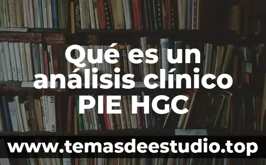 Que es el conocimiento filosofico universidad 4 Qué es un análisis clínico PIE HGC