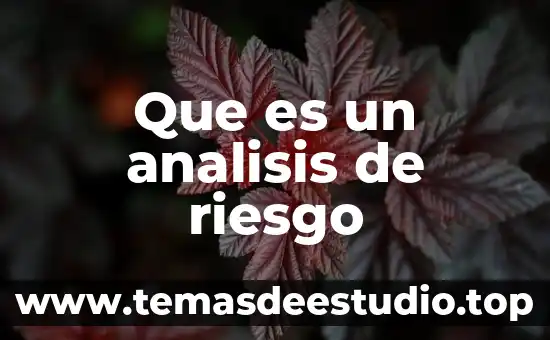 Que es riesgo pais mexico 6 Que es un analisis de riesgo